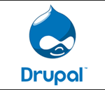 Drupal Content Management System Developers Washington DC